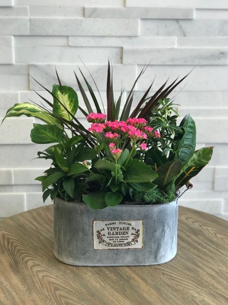 Vintage Garden