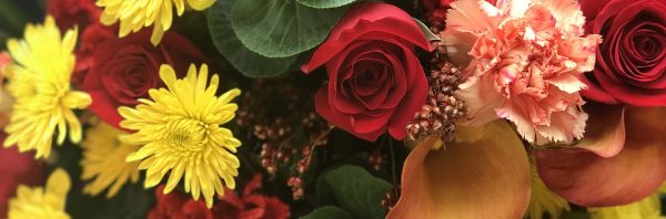 Fall Banner